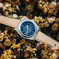 California Watch Co. Lost Coast Solar Field Tidal Zone